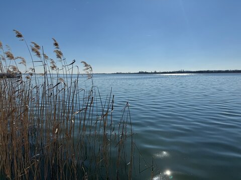 reflection in water