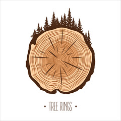 Round tree trunk cut with trees and forest. Sawn pine or oak slice, lumber. Saw cut timber, wood. Brown wooden texture with tree rings. Hand drawn sketch. Vector illustration