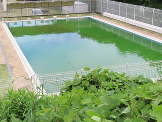 緑色になった使われてない日本の学校のプール