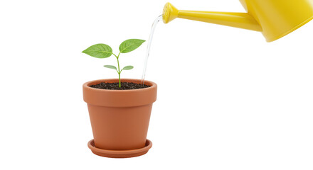 Isolated Watering Can and Plant