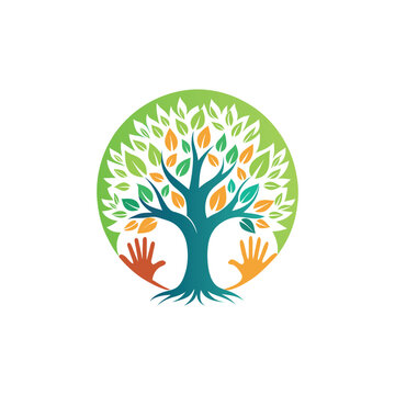 tree logo design vector 