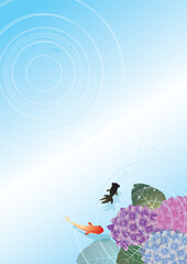 夏の梅雨の季節