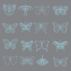 Vector set of butterflies line art. Butterflies for stencils, CNC printing, children s play or coloring.Black line of different hollow. Isolated clip arts insects collection.