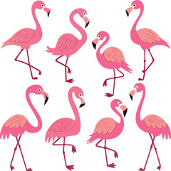 Playful Pink Flamingo Cartoon Set Stylized Bird Poses on White Background