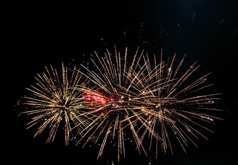 colorful fireworks burst in night sky, celebrating July 4th with magnificent display. bright pinks...