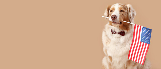 Cute dog with bow tie and USA flag on beige background. Independence Day celebration