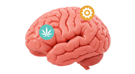 Isolated Brain with gear and cannabis leaf