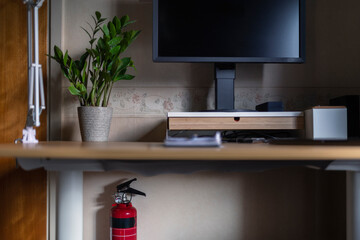 Houseplant near computer monitor on desk