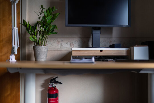 Houseplant near computer monitor on desk