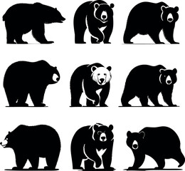 Various bear silhouettes on a white background depicting different bear species