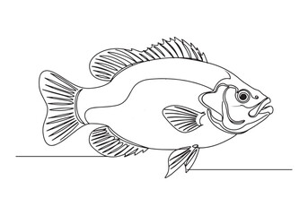 Elegant Bluegill Fish Artwork, Continuous Line Drawing Illustrat