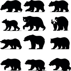 Diverse Collection of Bear Silhouettes Displaying Different Breeds and Poses