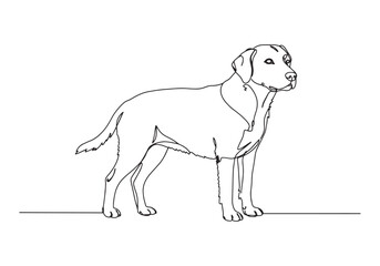 Elegant Line Drawing of Chartreux, Minimalist Portrait in Black