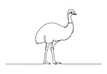 Fototapeta premium Elegant Emu Illustration, A Continuous Line Drawing in Black and