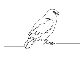 Fototapeta premium Elegant buzzard captured in continuous line drawing, a minimalis