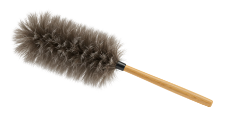 Isolated Feather Duster