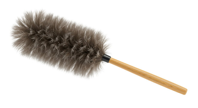 Isolated Feather Duster