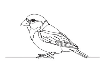 Elegant Crossbill Bird Portrait, A Continuous Line Art Illustrat