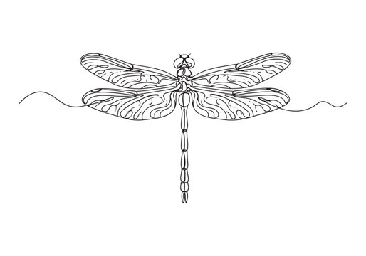 recommend clip art: Elegant dragonfly illustration in continuous line art style on w