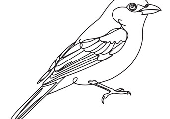 Elegant tanager bird depicted in minimalist continuous line draw