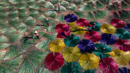 Drying sedge in the sedge growing area, raw material for weaving mats, the sedge has been dyed with beautiful colors. Photo taken in Phu Yen on May 17, 2025.