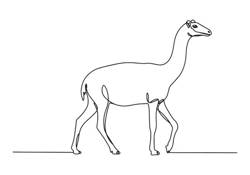 Elegant Macrauchenia Illustration in a Single Continuous Line Dr