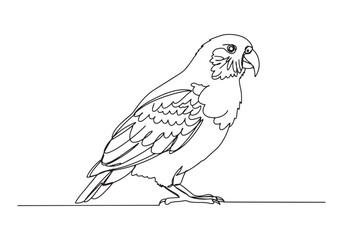 Fototapeta premium Elegant kakapo parrot continuous line drawing isolated on white