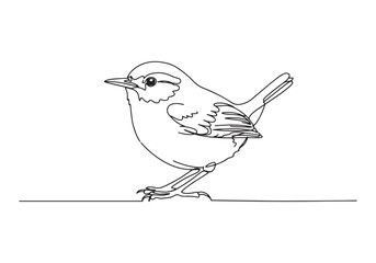 Elegant Wren Bird Illustration, A Continuous Line Drawing in Bla