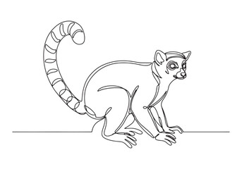 Obraz premium Elegant continuous line drawing of a Lemur animal illustration