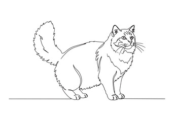 Obraz premium Elegant Siberian Cat Illustration in Continuous Line Art Style D