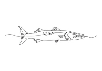 Fototapeta premium Elegant Barracuda, Continuous Line Art Illustration of a Predato