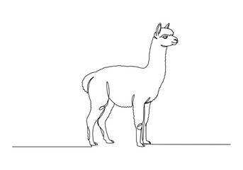 Fototapeta premium Elegant One-Line Drawing of Alpaca, Minimalist Black and White I