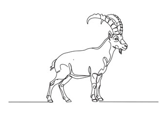 Elegant continuous line drawing of a Pyrenean Ibex with detailed