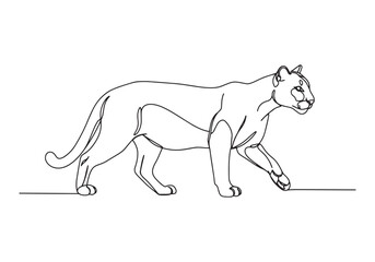 Elegant cougar illustration in continuous line art, minimalist d