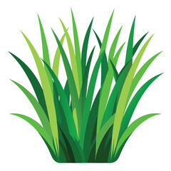 Obraz premium Lush Green Grass Blades Nature Spring Summer Meadow Plant Foliage Texture Background Design