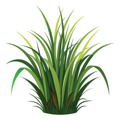 Lush Green Grass Tuft Nature Scene Realistic Botanical Illustration Perfect for Spring Summer