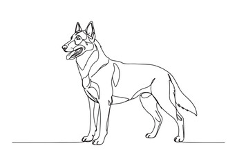 Fototapeta premium Elegant belgian malinois portrait created with a single continuo