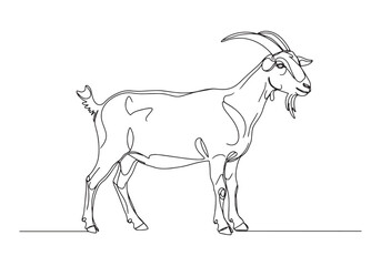 Elegant Nubian Goat Portrait in Continuous Line Art - Minimalist