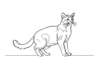 Obraz premium Elegant Somali Cat Illustration Created with a Continuous Single