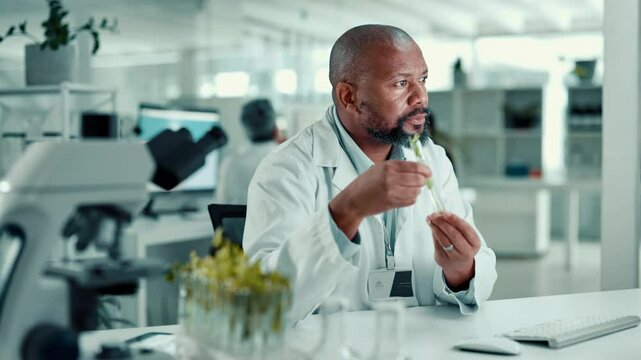 Science, inspection and man with plant sample in lab for medical research, natural vaccines and medicine. Healthcare, pharmaceutical and scientist for gmo study, medicinal analysis and experiment