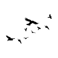  flying bird