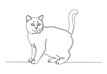 Obraz premium Elegant British Shorthair Portrait, A Minimalist Continuous Line