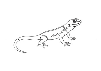 Captivating collared lizard in a sleek continuous line drawing s