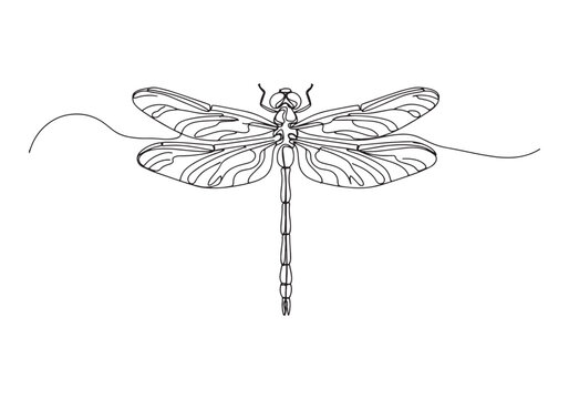 Elegant depiction of a dragonfly in a continuous line drawing st