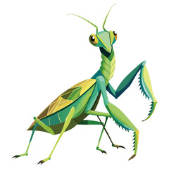 Fototapeta premium Vibrant Green Praying Mantis Insect Nature Wildlife Entomology Zoology Art Design Illustration
