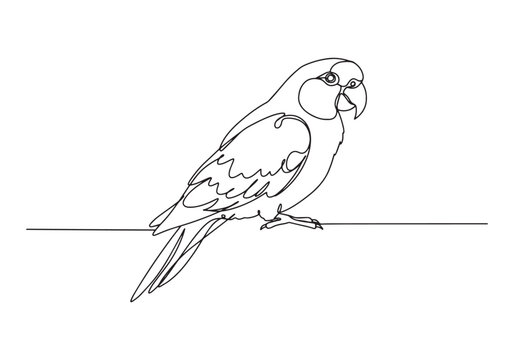 Elegant parrot continuous line drawing, minimalist black and whi