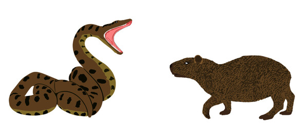 Ambush anaconda snake attack Capybara vector illustration isolated. Survivor watering place battle powerful reptile boa against animal. Predator carnivore serpent lurking prey biggest rodent.