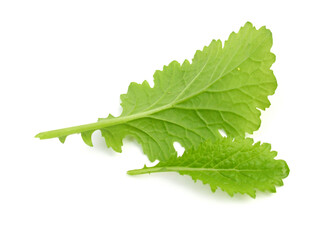 Lettuce, vegetables, greens