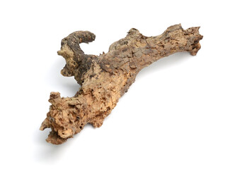 Driftwood