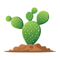 Prickly Pear Cactus on Pebble Ground